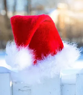Santa's Hot Tub  - Premium Fragrance Oil